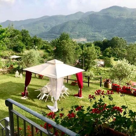 Agriturismo Il Frutteto Ghivizzano Exterior foto